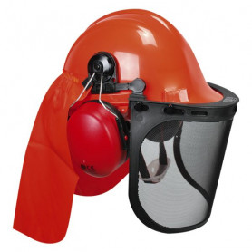 Casque forestier complet